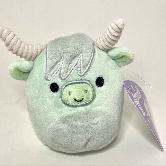 Squishmallows Other - BNWT Squishmallow Iver HTF